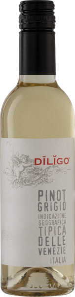 Вино Анна Спинато Дилиго Пино Гриджио 2024 Белое Сухое 12,5% 0,375 л фото