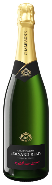 Шампанское Бернар Реми Миллезиме Шампань в п/у 2016 белое брют 12% 0,75 л фото