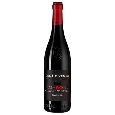 Вино Красное Полусухое Domini Veneti Amarone della Valpolicella Classico 2021 0,75 л фото