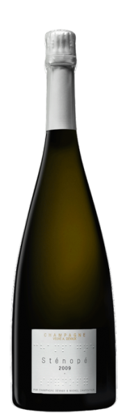 Шампанское Стенопе Шампань в п/у 2009 белое брют 12% 0,75 л фото