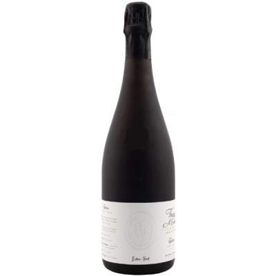 Вино игристое Тьерри Массан Солера Шампань Экстра Брют белое 12% 0,75 л фото