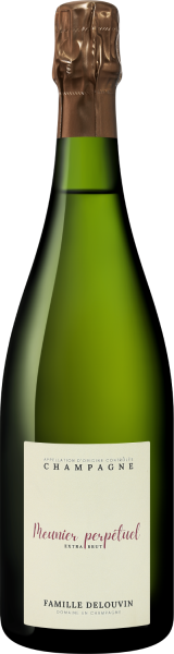 Шампанское Фамиль Делувен Менье Перпетюэль Экстра Брют Шампань белое брют 12% 0,75 л фото