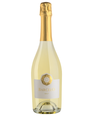 Вино игристое Барсело Брют 2023 белое брют 11% 0,75 л фото