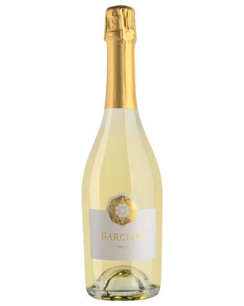 Вино игристое Кав д'Алерия Барсело Брют 2023 белое брют 11% 0,75 л фото